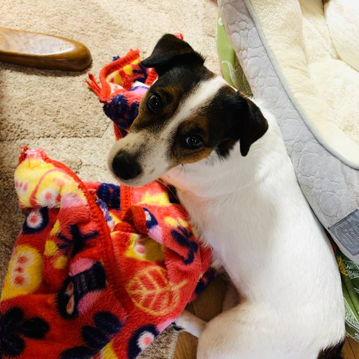 8bbd4a3c 9435 4ac0 975f d337cc90c4eb 1577402514286