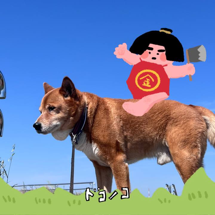 8bbd4db9 cace 4861 a657 29b6b4df63a2 1779513699372