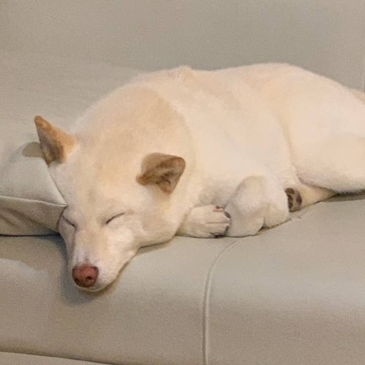 8bbd5ea3 db4d 45a0 8e57 85d22db94d11 1555763225753