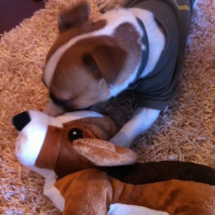 8bbd5f7d 491e 4937 a686 f8fc0c39e201 1676675132593