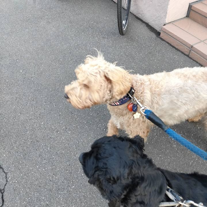 8bbd6861 7c3e 48d5 8ccf 166edb4451c4 1605140715576