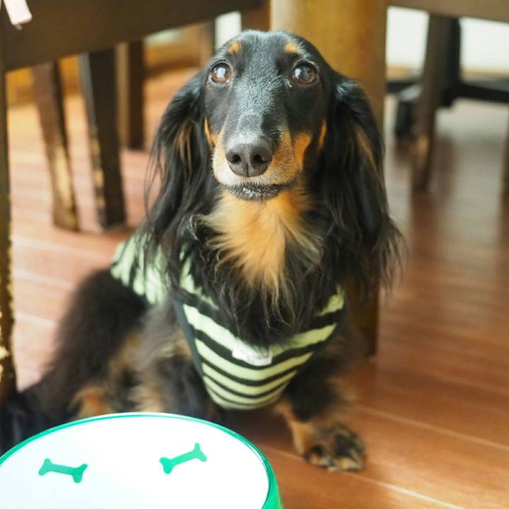 8bbd75ee 4f19 4fdf 8036 7324f32a38e6 1527638149464