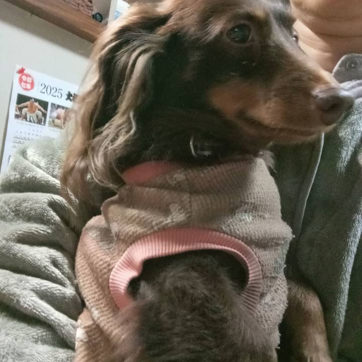 8bbd88d4 4ef9 4346 bb79 f7e56c4528dd 1769118213732