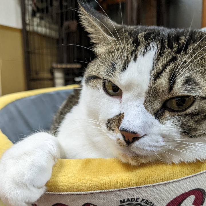 8bbda4d1 a05e 45a5 ba48 edfcd9138d13 1668159934639