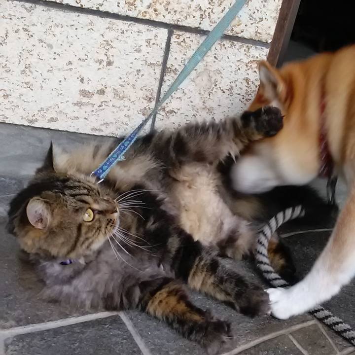 8bbdaca4 5c03 4a9b 93c8 80f75275e16a 1632802111685