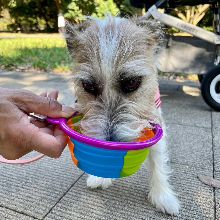 8bbdad22 0037 420a 807c c44d522484c2 1664631157903