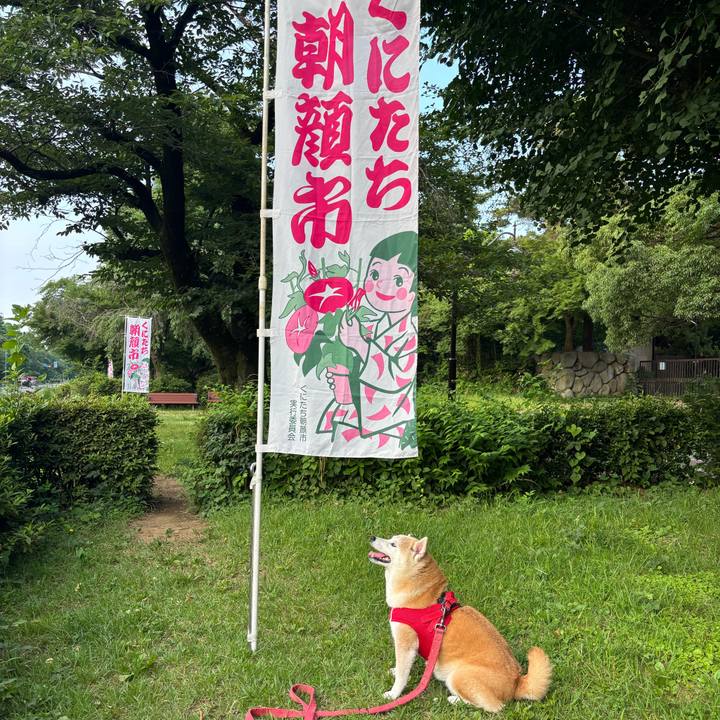 8bbdb438 5ae6 4dc6 8625 200eb60e8280 1750366584461