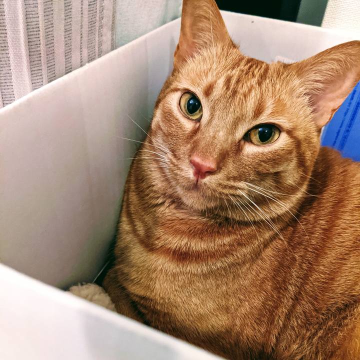 8bbdc656 b239 4ba4 8608 14782a30141b 1618393336995