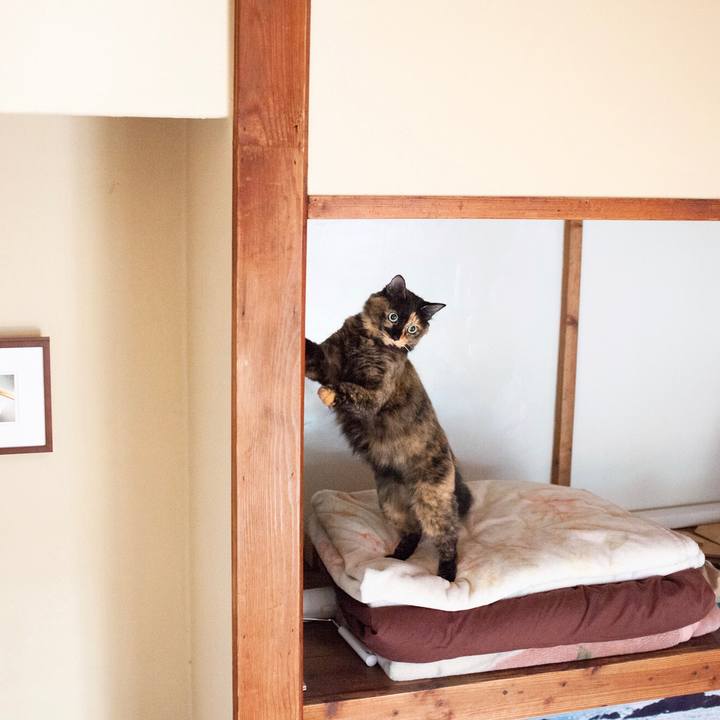 8bbe62e3 bc82 47b8 8f83 51087e006aa0 1573534740685