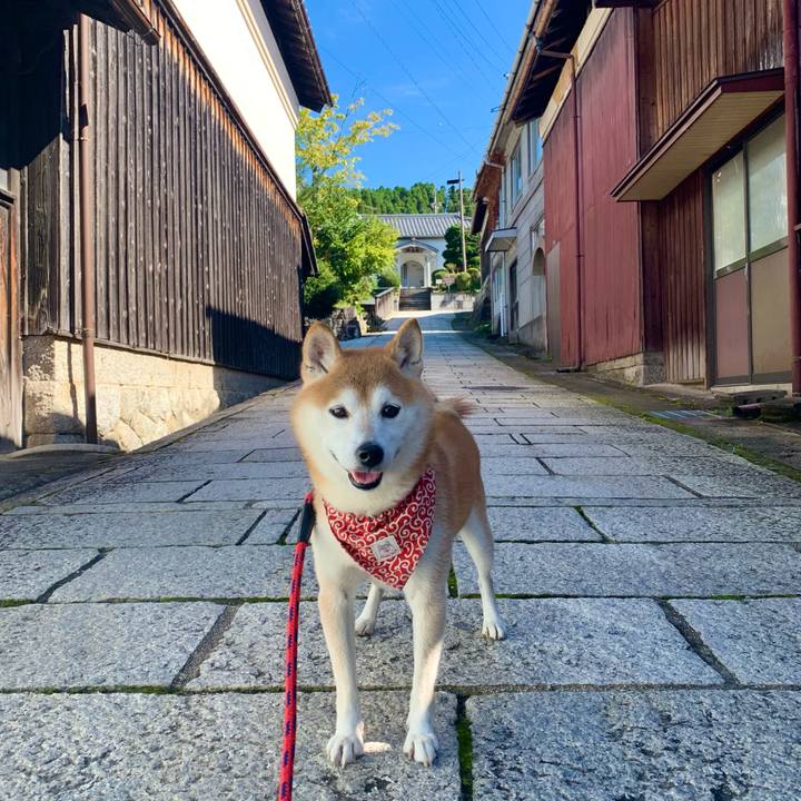 8bbe6d33 1dd1 49fa a36e efcc0acf072f 1665483449149