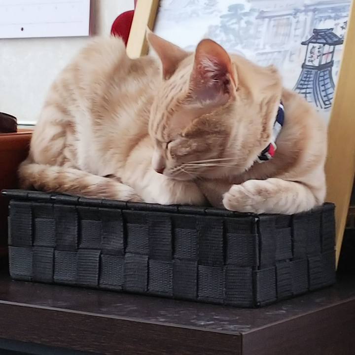 8bbe6e54 a385 4952 8dab be04e5aedb3c 1546561945707