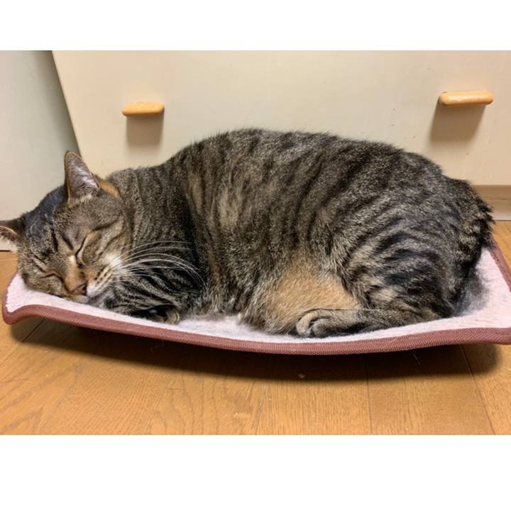 8bbe74ec fee5 47bc bc84 1d5091aa6bfc 1558793413386