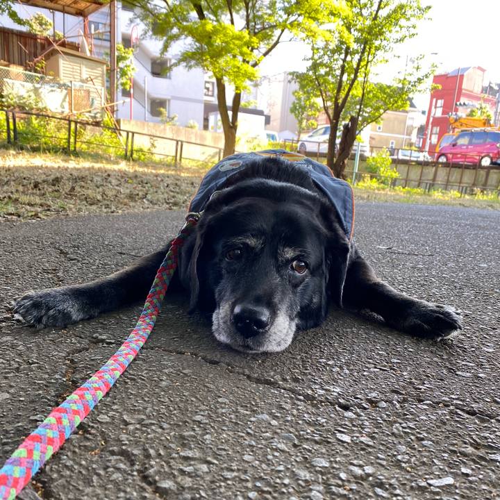 8bbec120 0a87 4eb1 b408 7210d8c987e0 1653376754109