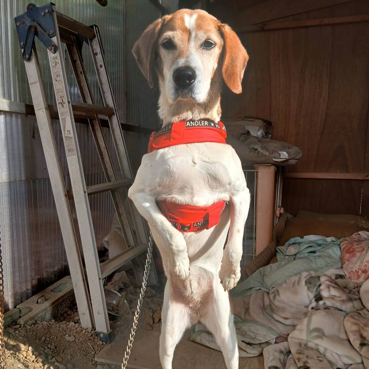 8bbed67e 1ecf 4f14 ae0e b7506e332bee 1773565221181