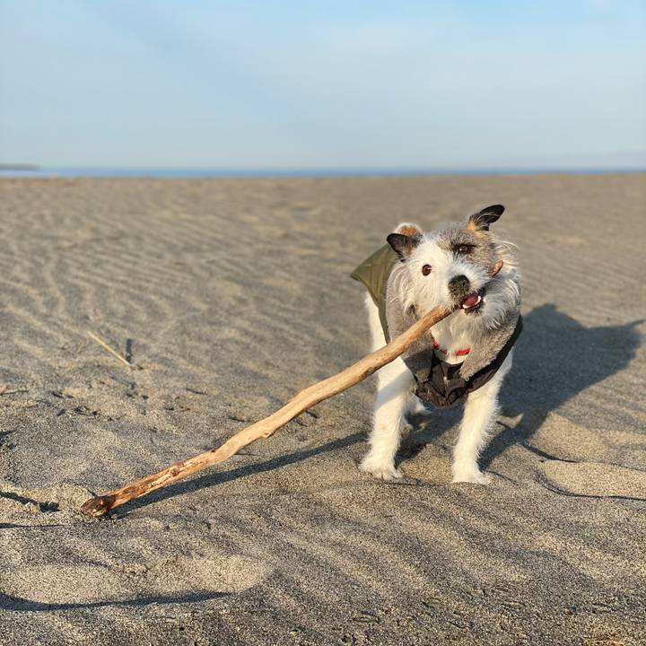 8bbf0753 ebe7 4436 92a3 324fba6b5725 1615502062940