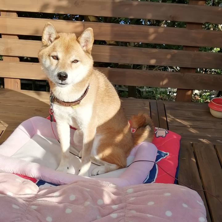 8bbf1173 66a2 40ae 9422 7a26e7bcc89d 1603782405278