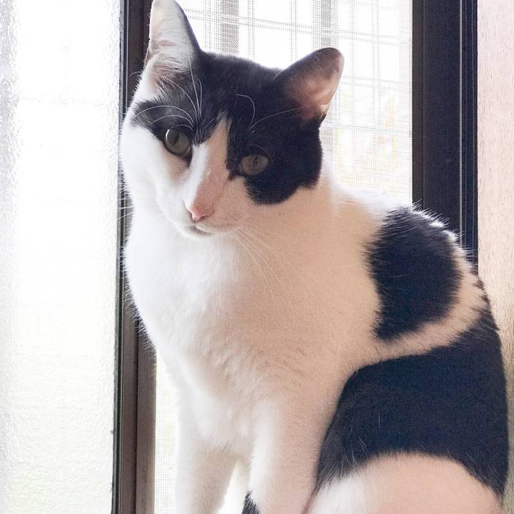 8bbf287c 1655 42f4 97c9 ecde56f23115 1526442508654