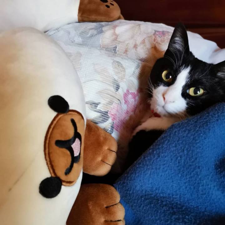 8bbf5d52 ab9d 445c bc64 dc65dd89c7c4 1684296427440