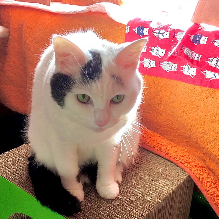 8bbf7449 b1da 41a9 bead abec423016e7 1581577264698