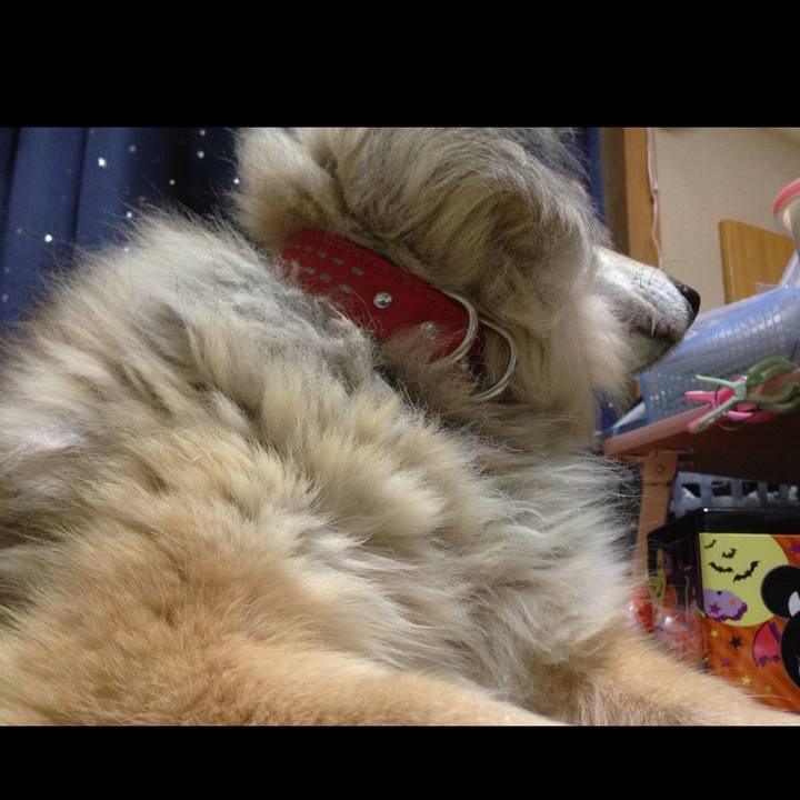 8bbf7470 a557 4a96 a352 47af2d9d54e6 1650305681299