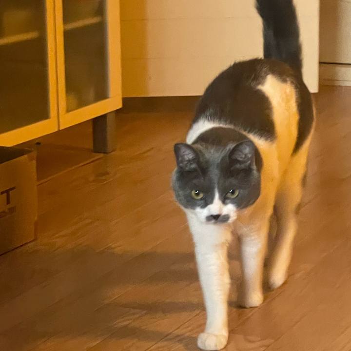 8bbf8eff 2d31 41b6 b9d3 19c5d93daf84 1718408126298