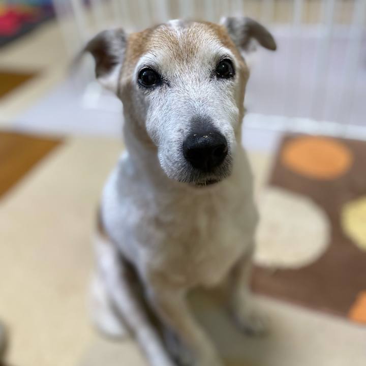 8bbfb841 f26e 4a86 872b a947d9cddc53 1655007455395