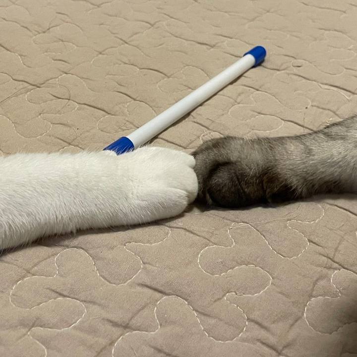 8bbfc5c5 238a 4abc 9bbc 080523a2ef0a 1685445388855