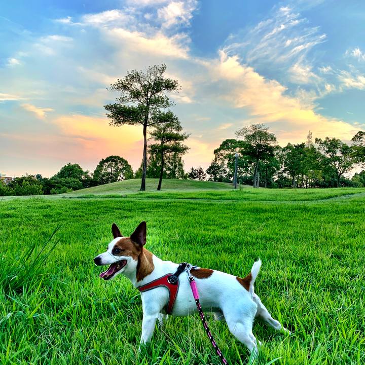 8bbff785 61f4 4749 90f4 2cdbb0ab96b6 1567513921913