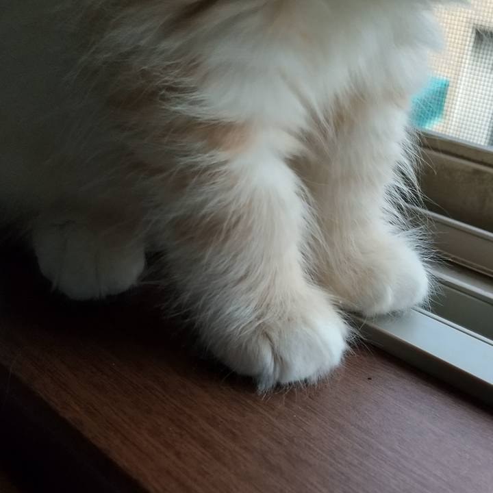 8bbffafc df87 44d7 9694 71f403f97a19 1603320098610