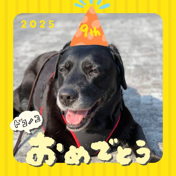 8bc02442 71da 4f13 ad64 7f28b243878c 1749090388423