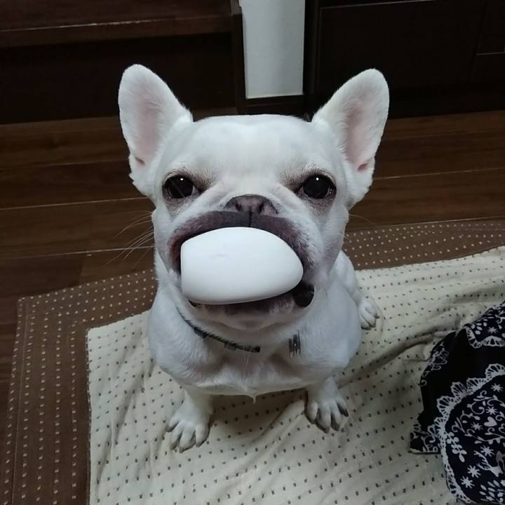 8bc04243 980e 489f b2c5 d3987c0292a2 1587951859963