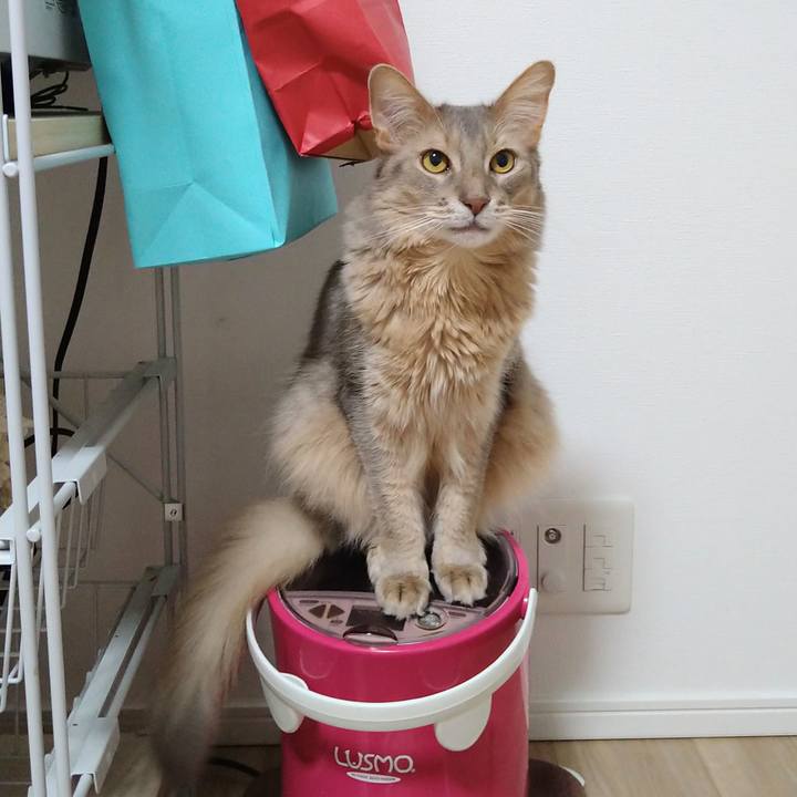 8bc060f0 d465 406c b982 03de0b6062e2 1617105250024