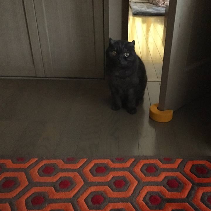 8bc0aaf1 a54b 4d2b b8b9 33138278a0ea 1550635557934