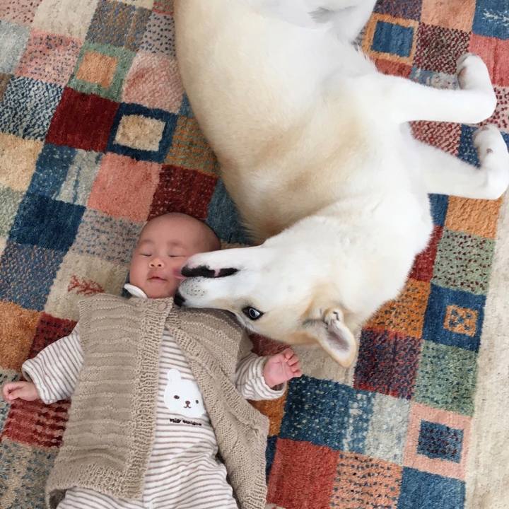 8bc0cd3c 3726 401e 9536 a7f8d055cac3 1528347946208