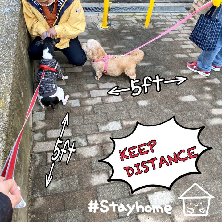 8bc0fd3b 38a7 46e6 a472 fd347bc6037f 1586820266491