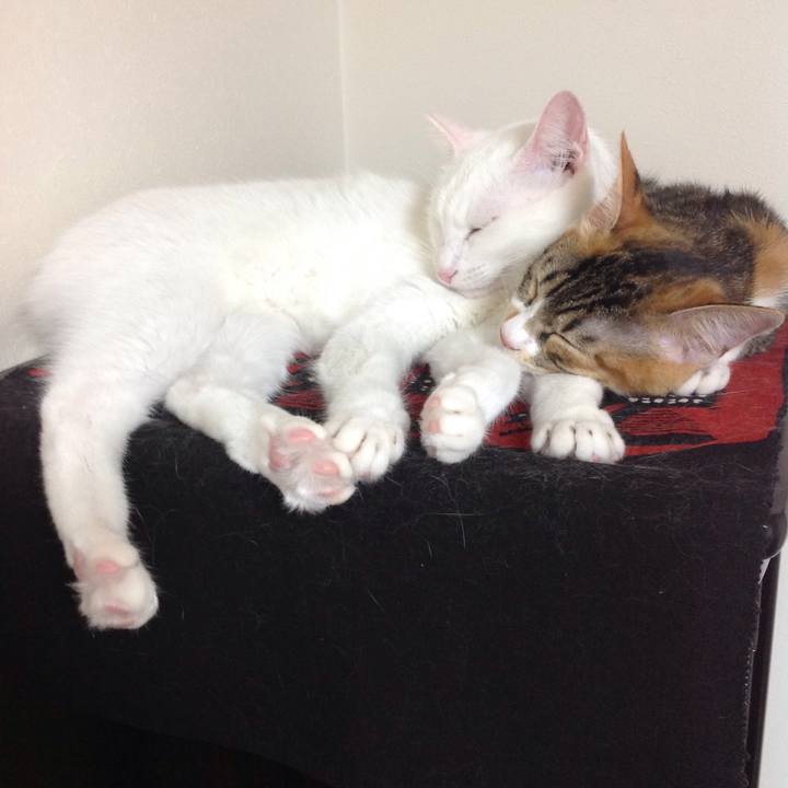 8bc12047 4626 4a80 84e4 f37b9a360d4b 1633000310959