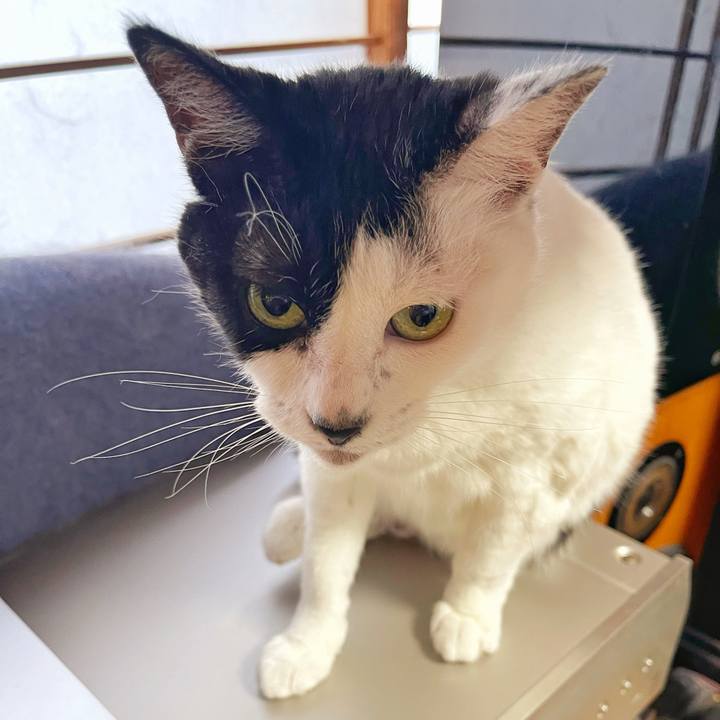 8bc12e7a ef9a 40b2 93ab 6c94192eb8b9 1752619879537