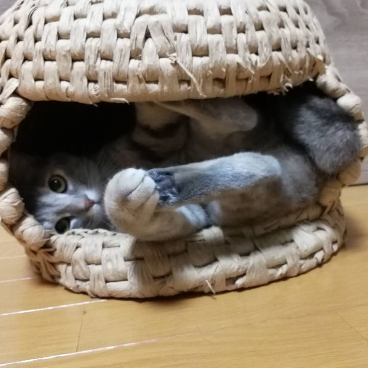 8bc14912 5d1a 4573 9066 6a7d19037460 1540368915047