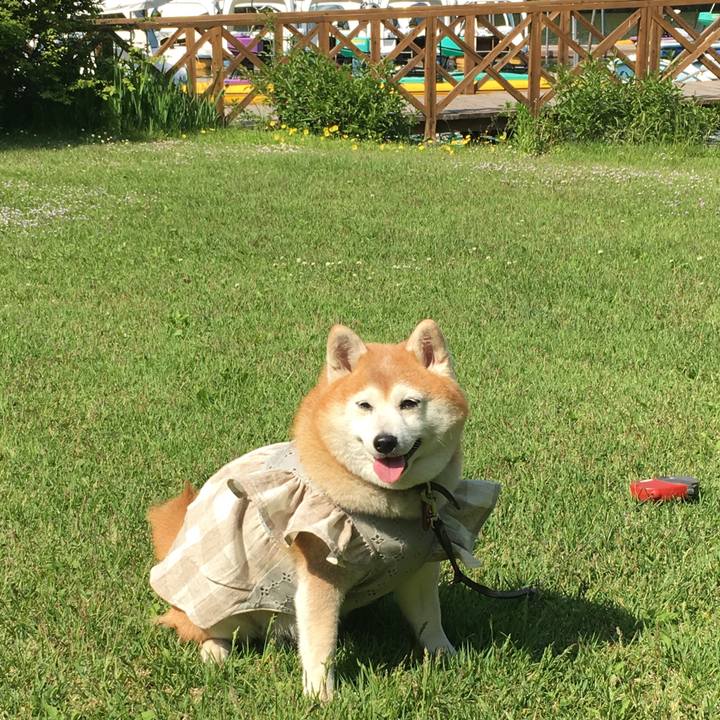 8bc14fc3 e473 46ac a4c1 6c441907ea82 1559824542574