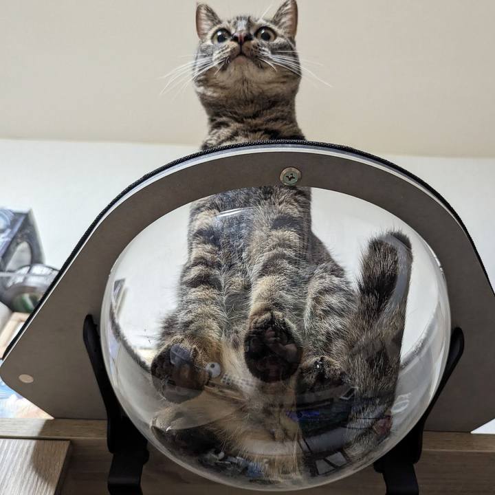 8bc17b71 8bf2 4b49 a3f4 8f1e6e3e678f 1717325697903