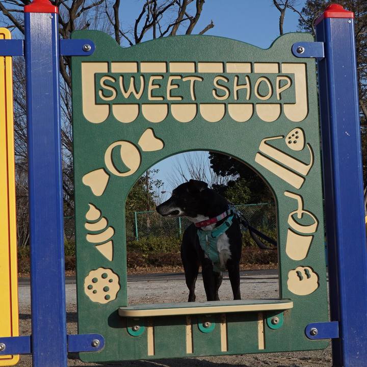 8bc18e35 2273 4594 b086 e2d968d9466a 1771807490074