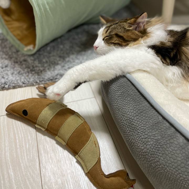 8bc1a134 5bd4 42eb aeeb 4de3201b7d17 1643105730898