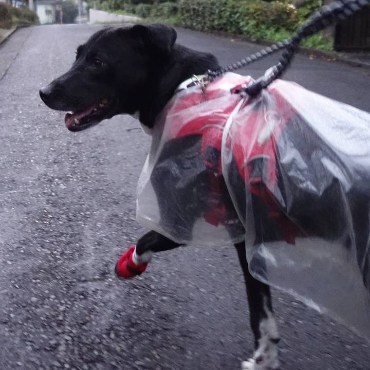 8bc1c959 66f8 47bb a413 d6c8a6aac5c4 1625056351587