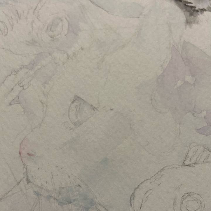 8bc20738 c88e 4a13 95e2 601853b690a9 1626954157604