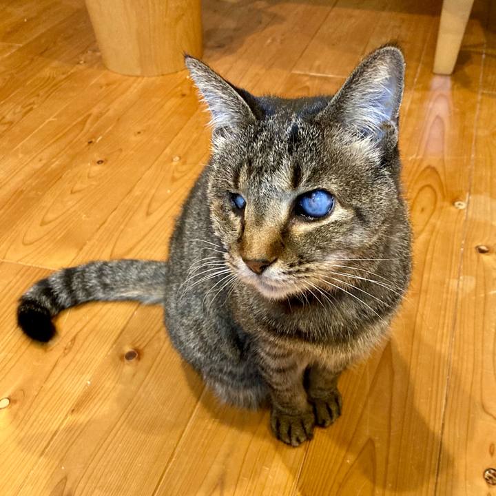 8bc23027 f5c2 4ef2 a38c f164cb5c7bb4 1643935849185