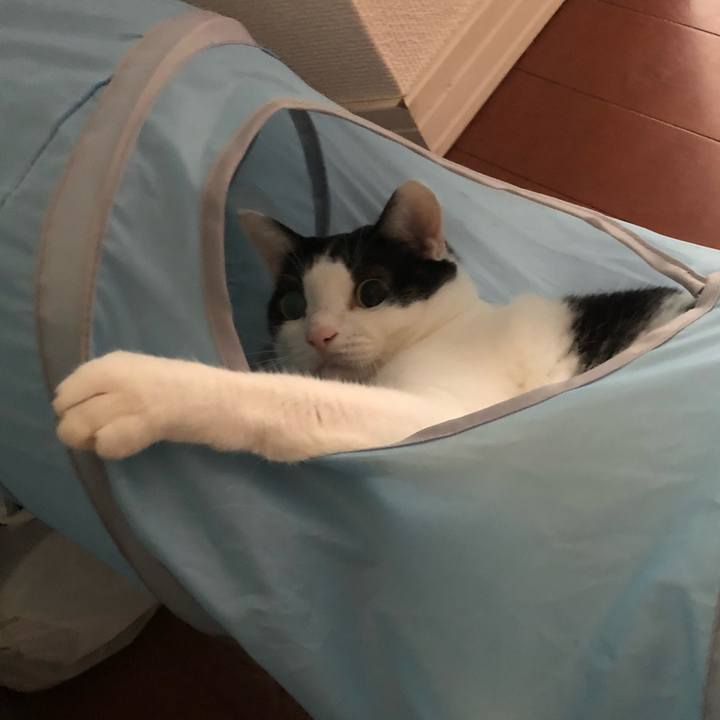 8bc235b0 8ad9 4ff6 8ed6 758f9b56fa04 1539319781668