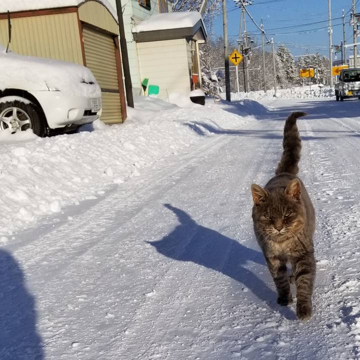 8bc248b8 1fba 43b4 b250 f9502e4f28dd 1544835596611