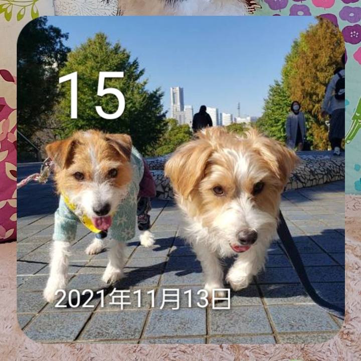 8bc24c03 176d 40b3 a9fa 4267bfdc8f16 1700035682964