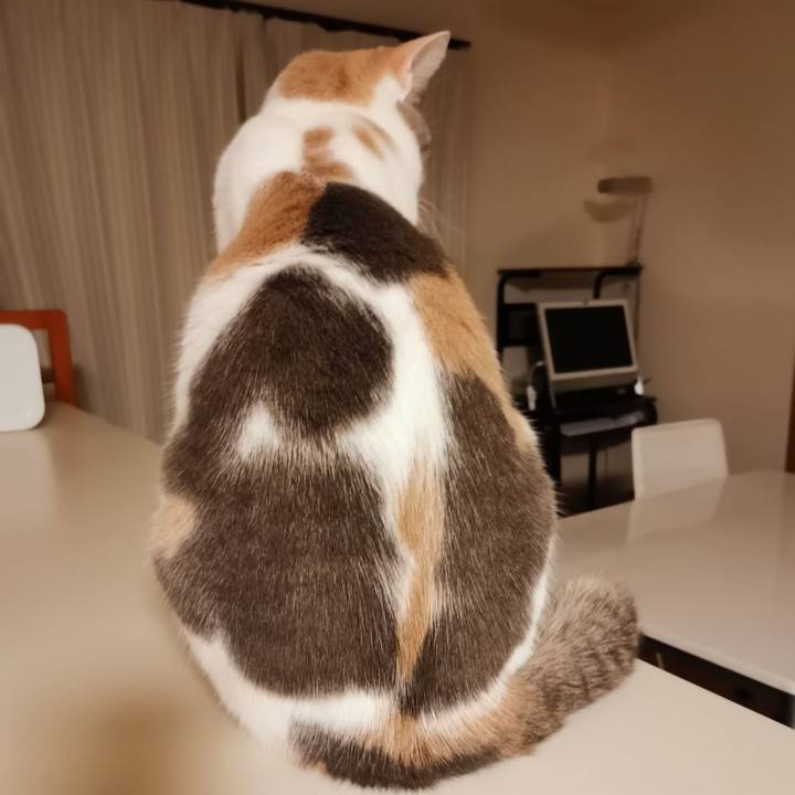 8bc27378 2e73 454e 83e1 b3bf8a558abf 1640845094877