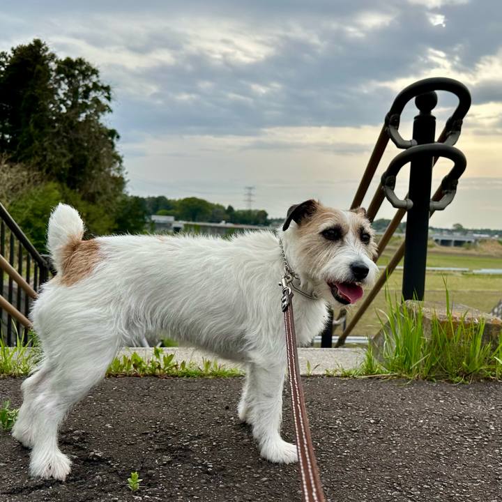 8bc295b1 419d 4ded ab49 dcfb710aced7 1745157458337